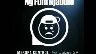 Meropa Control ft Juizee SA NgFuni Njabulo [upl. by Drawyeh971]