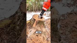 Impressive Machines That Remove Tree Stumps in Seconds 🌳💥 shorts [upl. by Oecile]