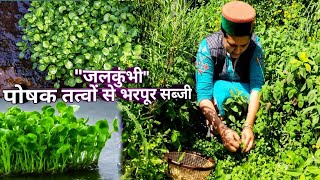 Watercress Vegetable Benefits Kinnaur HP [upl. by Becket994]