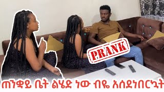 የ 15ሺ ብር በግ ይዤ ጠንቋይ ቤት ልሄድ ነው PRANK VIDEO  Beli And Kaye Lemmas Family [upl. by Eglanteen271]