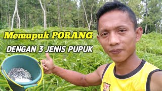 PUPUK PORANG LANGSUNG DENGAN 3 JENIS PUPUK [upl. by Pliam427]