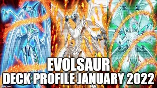 EVOLSAUR DECK PROFILE JANUARY 2022 YUGIOH [upl. by Ky409]