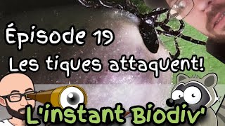 Ép 19 Les tiques attaquent [upl. by Peirsen717]