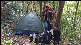 Camping no meio da mata e boa comida [upl. by Rodolfo]