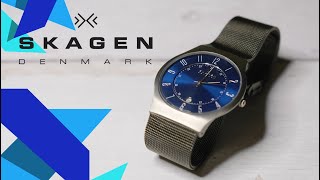 Skagen 233XLTTN Titanium Watch Review SKU 8077131 [upl. by Lybis]