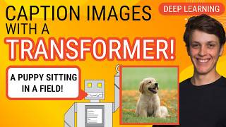 Captioning Images with a Transformer from Scratch PyTorch Deep Learning Tutorial [upl. by Ahsai]