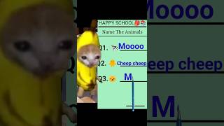 Banana cat school exam season 2 day 7 bananacat funny catfunny [upl. by Doownel233]