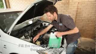 How to Check your Cars Coolant Level [upl. by Worthy]