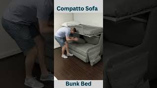 Is Compatto Really the Best Sofa Bunk Bed for Small Spaces shorts [upl. by Norrehs]