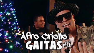 Afro Criollo  Gaitas Venezolanas Mix Video Oficial House Mix [upl. by Abeu580]