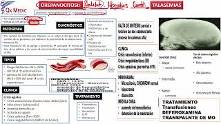 3 RM19 2V HEMATOLOGÍA ESFEROCITOSIS DEFICIT DE PK Y G6PDH DREPANOCITOSIS TALASEMIAS [upl. by Seamus]