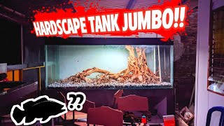 ikanpredator video pendek pembuatan hardscape untuk tank jumbo ikan predator  hardscape tutorial [upl. by Noakes]