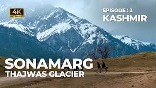 Kashmir Part 2  Sonamarg  Thajwas Glacier  Vlog 78 [upl. by Dewhirst238]