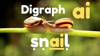 Digraph ai  Phonics Lesson for Kids phonicsreading [upl. by Yolande527]