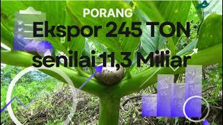 Pengenalan hutan dan tumbuhan herbal KHDTK Cikampek Bag4 Porang [upl. by Keyek]