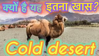 The story of quotA COLD DESERTquot [upl. by Lalat538]