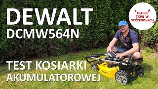 akumulatorowa kosiarka Dewalt DCMW564N 1836v test [upl. by Ellenehc922]