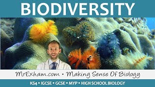 Ecology  Biodiversity  GCSE Biology 91 [upl. by Derrej]