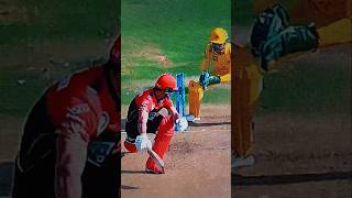 Stumping 🤩 shorts cricket cricketlover ipl ipl2024 dhoni msdhoni cricketshorts kohli video [upl. by Nniroc81]