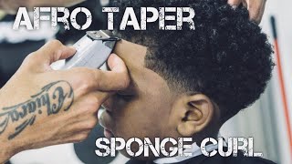 Afro Taper Fade  Curl Sponge [upl. by Ataynek813]