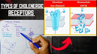 Cholenergic Receptors  Cholenergic System  ANS Pharmacology [upl. by Spiros]