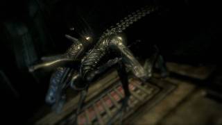 Aliens vs Predator  Infestation multiplayer trailer [upl. by Eeramit]