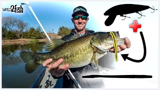 Jerkbait and Drop Shot Winter Bass  12 Punch [upl. by Pearline]