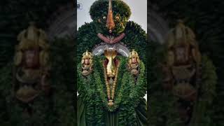 Cholla cholla inikkuthada Murugan song [upl. by Rani]