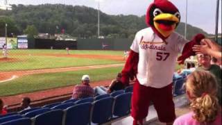 Mascot scares little fan [upl. by Cherise]