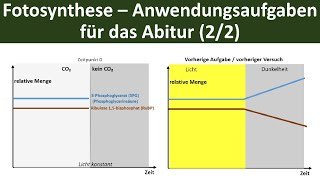 Fotosynthese  Anwendungsaufgaben für Klausuren  das Abitur 22  Biologie Oberstufe [upl. by Kcyrred]