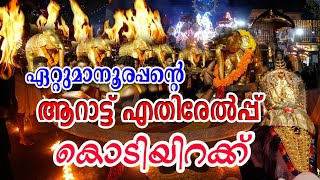 Ettumanoor Temple Utsavam 2024 ആറാട്ട് എതിരേൽപ്പ് കൊടിയിറക്ക് [upl. by Lubow]