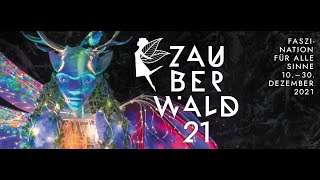 Zauberwald 2021  Impressionen [upl. by Asilanom727]