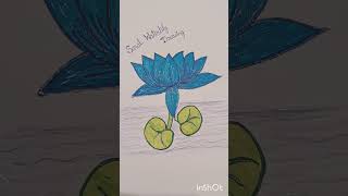 Saral Waterlily Drawing 🙏 [upl. by Aekan]