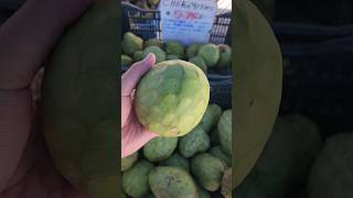 అమెరికా లో Seethaphalam జాతి fruit untadhi దీని పేరు Cherimoya Almost సీతాఫలం taste untadhi [upl. by Campney734]