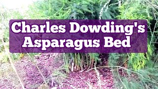 Charles Dowdings Asparagus Beds At His No Dig BioIntensive Organic Organic Natural Garden [upl. by Novyaj869]