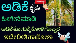 🤔ಅಡಿಕೆ ತೋಟ ಹೀಗೆ ಮಾಡೋಣ part 1🤩 [upl. by Fokos680]