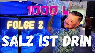 1000 L Shallow Mixed Reef Beckenstart  Folge 2 [upl. by Una]