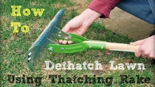 How to Dethatch Lawn Using a Thatching Rake [upl. by Yevoc]