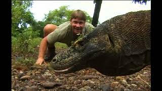 Steve Irwin The Crocodile Hunters Greatest Moments [upl. by Britte700]