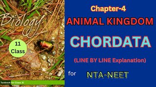 Class 11 Animal Kingdom chordates theory ncertbiologyharunsir Harunbiozone [upl. by Woo]