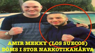 AMIR MEKKY LOS SUECOS DÖMD  HELA RÄTTEGÅNGEN [upl. by Ainola]