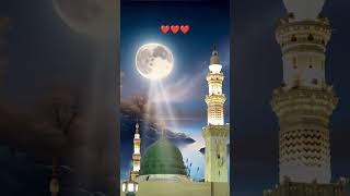 Rahmatul lil Alameen  Muhammad PBUH ❤️  Arabic naat lyrics  shorts madina love explore [upl. by Eiryk]