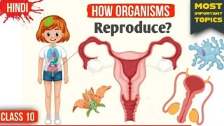 How Do Organism Reproduce Class 10 Full Chapter Animation  Class 10 Science Chapter 8  CBSE [upl. by Dlaniger364]