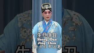 Introduction to Peking Operashorts drama clips pekingopera opera [upl. by Durnan]