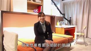 三合一組合壁床｜掀床  壁床  隱形家具｜【禾豐家具】 [upl. by Edeline]