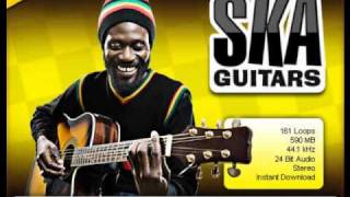 SkaReggae Guitar Loops  Ska Guitars V1 [upl. by Yesrod]