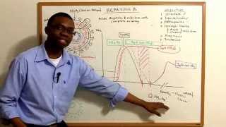 Hepatitis B lecture Video [upl. by Townsend]