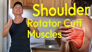 Strengthen Rotator Cuff amp Shoulder Muscles  Workout Tips amp Explanations [upl. by Tterrej766]