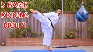 5 SHOTOKAN KARATE KICK DRILLS  Beginner Karate Lesson [upl. by Kreiker]