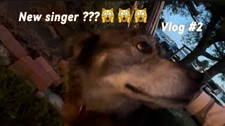 We FOUND A NEW SINGER🙀😣 Sunday vlog [upl. by Ragen]